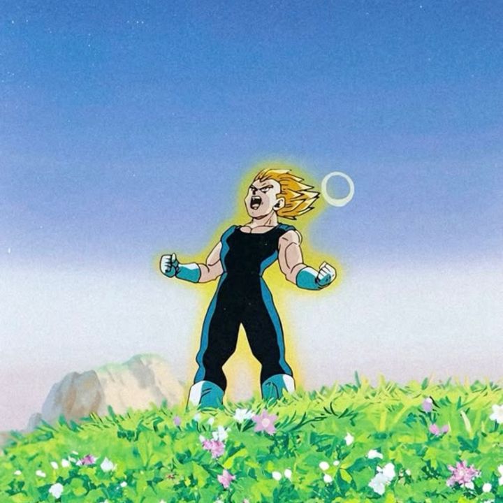 Vegeta⚡️ - son original