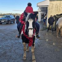 angelina_equestrian