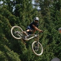 steezerrist