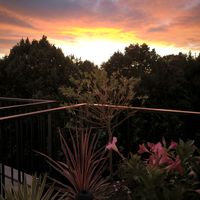 elodiedauguet5