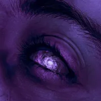 SEBASTIAN SALLOW EVERYONE