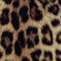 _annalisa_aa