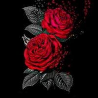 hasii_writes110