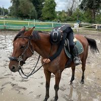 lenuss_equestriqn123