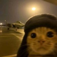 TikTok Account - https://p16-pu-no.tiktokcdn-eu.com/tos-no1a-avt-0068c001-no/9143d00f13e62ab29757098b67088957~tplv-tiktokx-cropcenter:200:200.jpeg