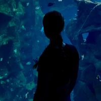 roca_9517