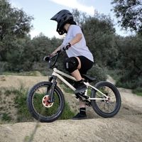 lamaguibmx