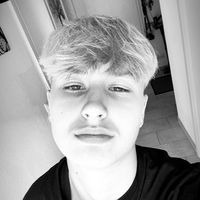 der_litauer2