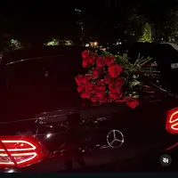 pantera_zez_0