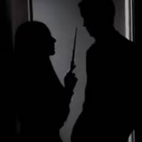 .shadowse1