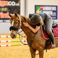 bm_equestrianxx