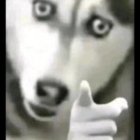 qwiksko0