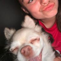 hanna._rodrigueez