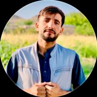 habib.officia71