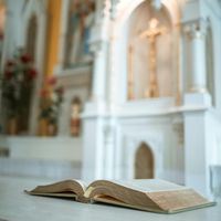 son original - vinalife_