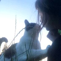 TikTok Account - https://p16-pu-no.tiktokcdn-eu.com/tos-no1a-avt-0068c001-no/9b4358805bb14bb0e7145b3177413d26~tplv-tiktokx-cropcenter:200:200.jpeg