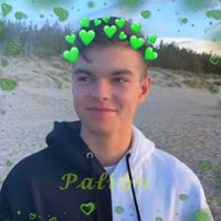palionkrolem