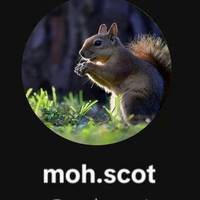 TikTok Account Photo