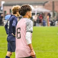 noah_dp2