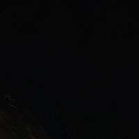 daniel_halim1