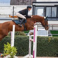 life.with.my.horse