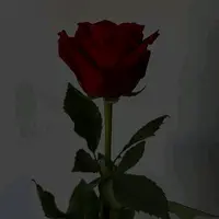 ioanaaaa_playthegame1