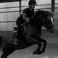 power_pony_lucy