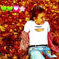ani.shelia3