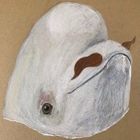 italianwhale