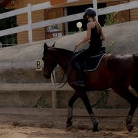 polly__equestrian