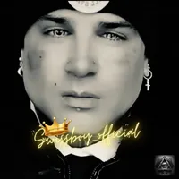 original sound - swissboy_official