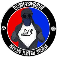 born4steaua_