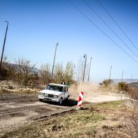 kis_szilarcsik