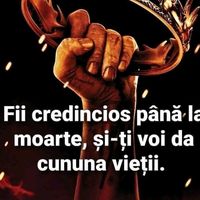 davidmoise72