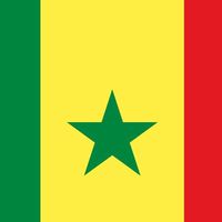 senegalnew221