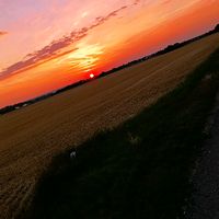 safeplace_063
