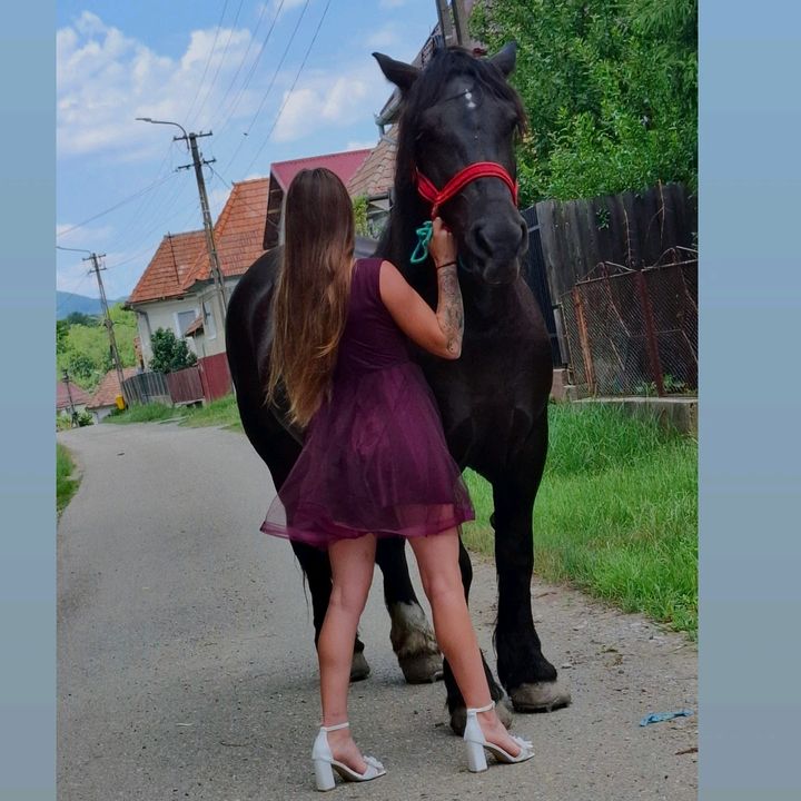 @Ana&Hera🐴🖤 - sunet original