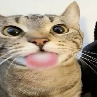 ghoulsk1ssed