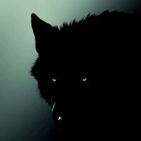 TikTok Account - https://p16-pu-no.tiktokcdn-eu.com/tos-no1a-avt-0068c001-no/aa1a79bdaf4b2f7734fd9e8dfc1786ca~tplv-tiktokx-cropcenter:200:200.jpeg