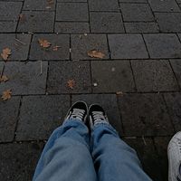 knife_vein