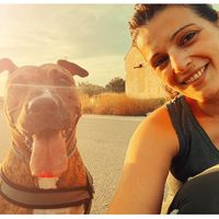 bea_y_lola_the_amstaff