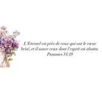 maidi_limbergere1