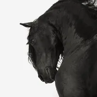 rushes by frank ocean