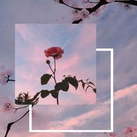elcyhrgvs