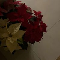 user6179292016
