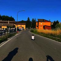 lollo_pollooooooooooo
