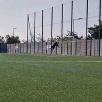 thom.goalkeeper