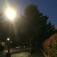 andy.fxxk