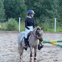 alkuperäinen ääni