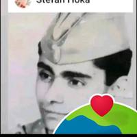 stefanhoka